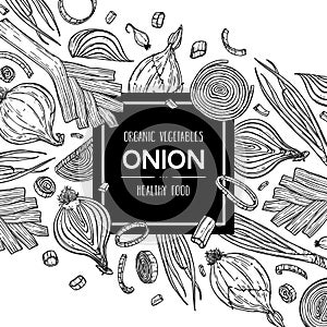 Vector hand drawn background with natural onion