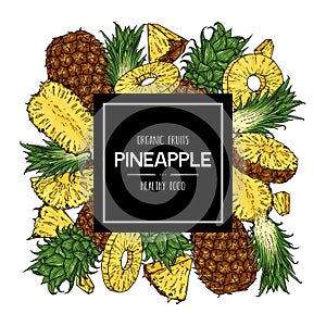 Vector hand drawn background with natural whole pineapple, slices pieces and half