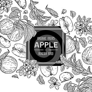 Vector hand drawn background with organic whole apple, half, flower, branch and leaves