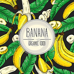 Vector hand-drawn banner with banana, slices pieces, bunch and leaves