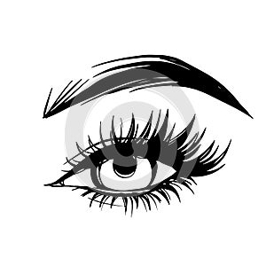Vector Hand drawn beautiful female eye with long black eyelashes and brows.