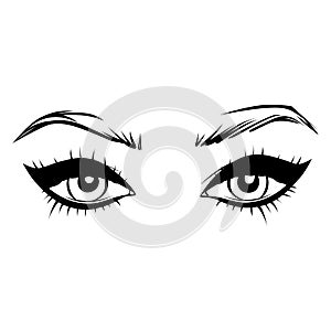 Vector Hand drawn beautiful female eyes with long black eyelashes and brows.