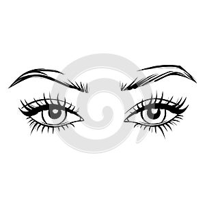 Vector Hand drawn beautiful female eyes with long black eyelashes and brows.