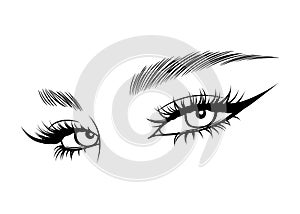 Vector Hand drawn beautiful female eyes with long black eyelashes and brows close up.