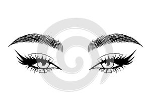 Vector Hand drawn beautiful female eyes with long black eyelashes and brows close up.