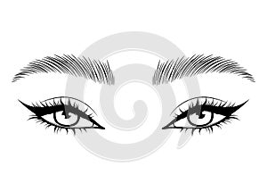 Vector Hand drawn beautiful female eyes with long black eyelashes and brows close up.