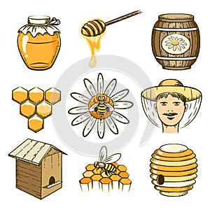 Vector hand drawn beekeeping, honey and bee icons photo