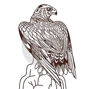 Vector hand drawn bird of prey. Illustration in bohemian style.
