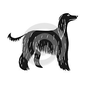 Vector hand drawn black Afghan hound dog