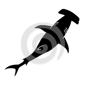 Vector hand drawn black hammerhead shark