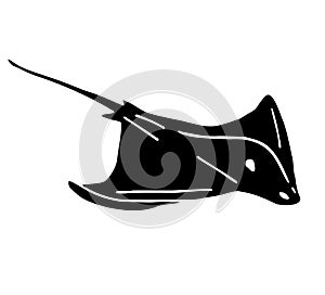 Vector hand drawn black skate fish devil fish