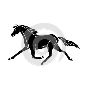 Vector hand drawn black trotter horse