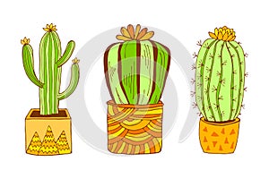 Vector hand drawn botanical illustration. Green cactus with flowers in modern terracotta pot set isolated on white background.