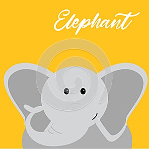 Vector hand drawn cartoon character illustration elephant.