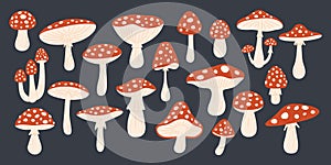 Vector Hand Drawn Cartoon Fly Agaric Mushrooms. Amanita Muscaria, Fly Agaric Illustration, Mushrooms Collection. Magic