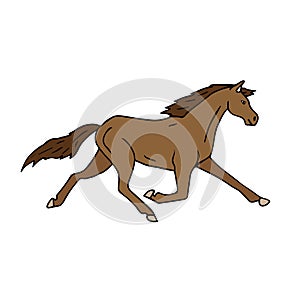 Vector hand drawn colored trotter horse