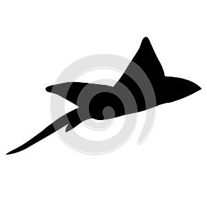 Vector hand drawn devil fish skate fish silhouette