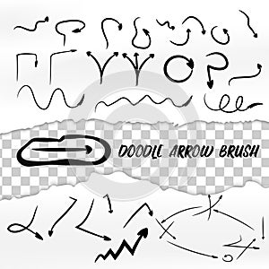 Vector hand drawn doodle arrows brush torn paper