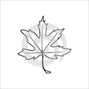 Vector hand drawn doodle maple leaf icon.