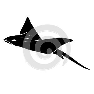 Vector hand drawn black devil fish skate fish
