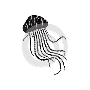 Vector hand drawn doodle sketch black jelly fish