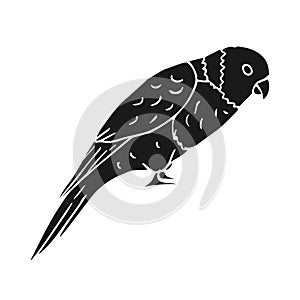 Vector hand drawn doodle sketch black lory parrot