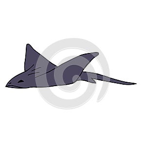 Vector hand drawn devil fish skate fish