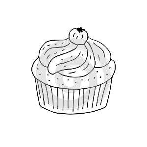 Vector hand drawn doodle sketch cupcake