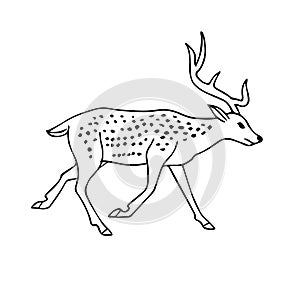 Vector hand drawn doodle sketch deer