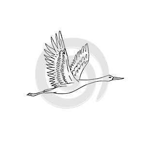 Vector hand drawn doodle sketch flying crane bird
