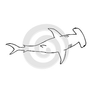 Vector hand drawn doodle sketch hammerhead shark