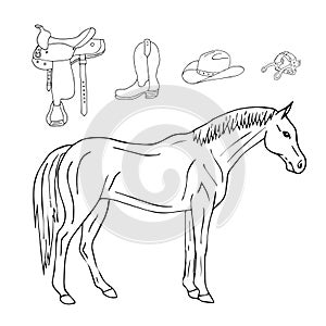Vector hand drawn doodle sketch horse