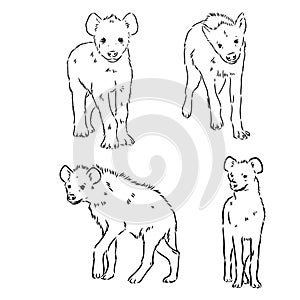 Vector hand drawn doodle sketch hyena isolated on white background