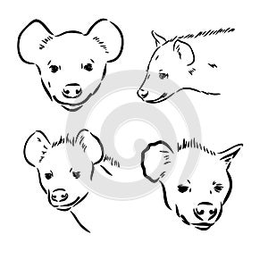 Vector hand drawn doodle sketch hyena isolated on white background