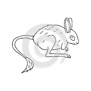 Vector hand drawn doodle sketch Jerboa