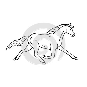 Vector hand drawn doodle sketch trotter horse