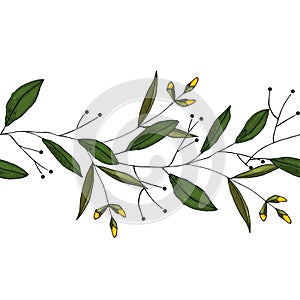 Vector hand drawn element for print design. Horizontal border seamless of flowers and herbs in watercolor style on white