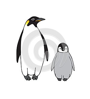 Vector hand drawn emperor penguin with baby