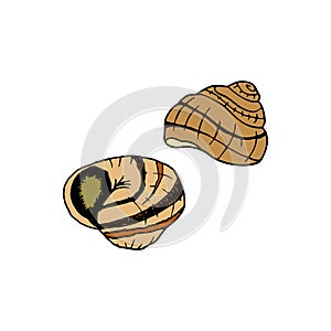 Vector hand drawn escargot. French cuisine dish of snails. Design sketch element for menu cafe, bistro, restaurant, label and