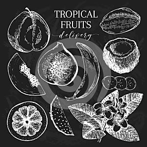 Vector hand drawn exotic fruits. Chalkboard style engraved smoothie bowl ingredients. Tropical sweet food delivery