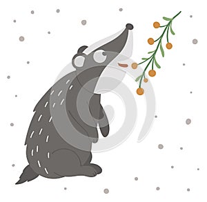 Vector hand drawn flat badger eating berries. Funny woodland animal. Cute forest animalistic illustration for childrenâ€™s design