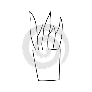 Vector hand drawn flat linear illustration