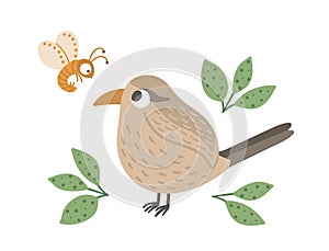 Vector hand drawn flat wren with leaves and insect. Funny woodland bird icon. Cute forest animalistic illustration for children