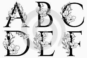 Vector Hand Drawn floral uppercase letters monograms