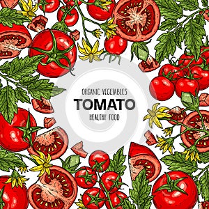 Vector hand drawn frame with tomatoes