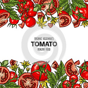 Vector hand drawn frame with tomatoes
