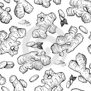 Vector hand drawn Ginger seamless pattern. Ginger root and cuted