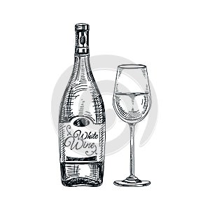 Vector hand drawn glass and bottle of wine Illustration