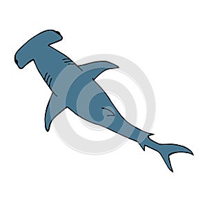 Vector hand drawn hammerhead shark