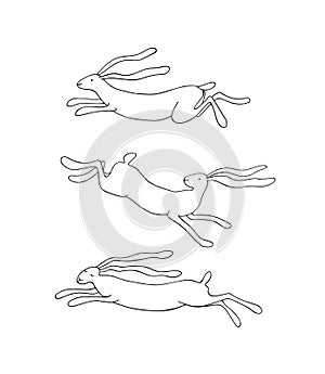 Vector hand drawn hares